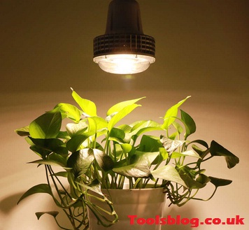 How To Use Grow Lights For Indoor Plants