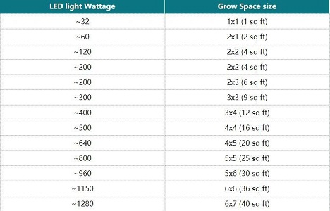 What Size Led Grow Light Do I Need?